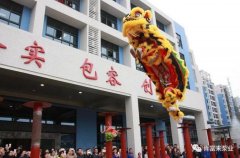 醒狮贺岁，开云手机官方网站登录官网-开云(中国)2019年开工大吉