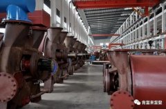 开云手机官方网站登录官网-开云(中国)被评为2019年度三水区骨干企业